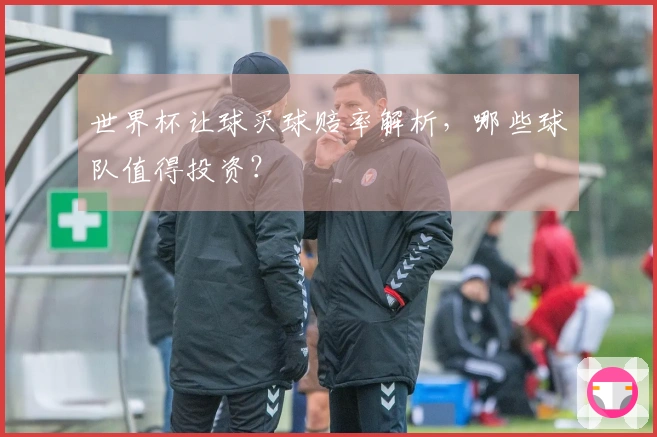 世界杯让球买球赔率解析，哪些球队值得投资？