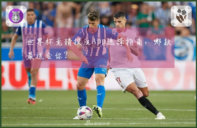 世界杯竞猜投注App选择指南，哪款最适合你？