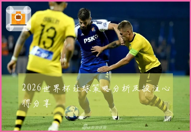 2026世界杯让球策略分析及投注心得分享