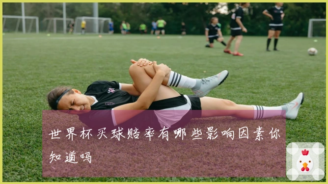 世界杯买球赔率有哪些影响因素你知道吗