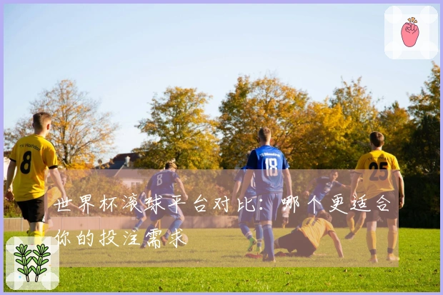 世界杯滚球平台对比：哪个更适合你的投注需求