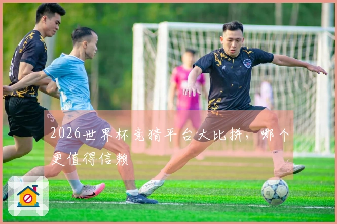 2026世界杯竞猜平台大比拼，哪个更值得信赖