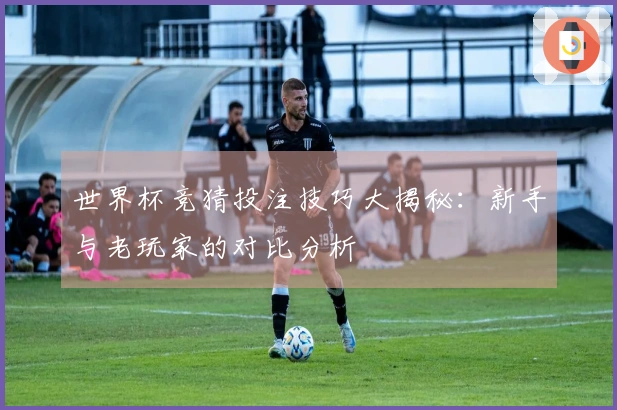 世界杯竞猜投注技巧大揭秘：新手与老玩家的对比分析