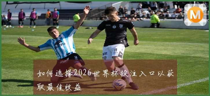 如何选择2026世界杯投注入口以获取最佳收益