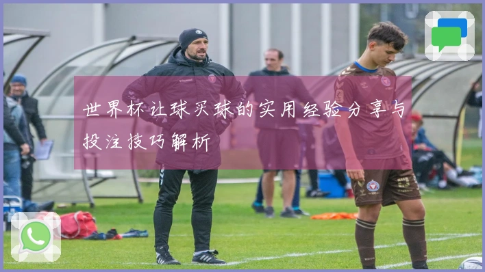 世界杯让球买球的实用经验分享与投注技巧解析