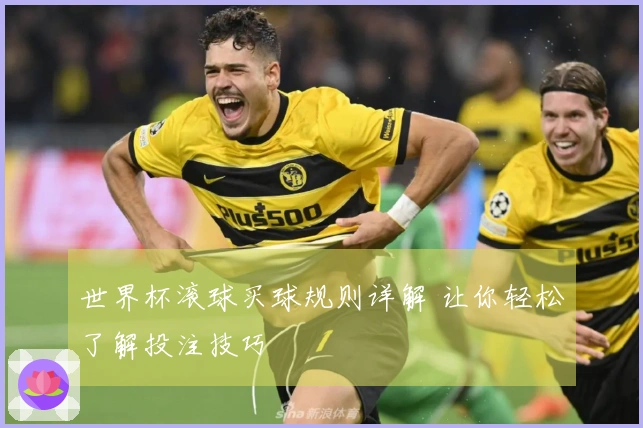 世界杯滚球买球规则详解 让你轻松了解投注技巧