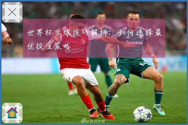 世界杯买球技巧解析：如何选择最优投注策略