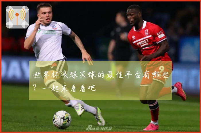 世界杯滚球买球的最佳平台有哪些？一起来看看吧