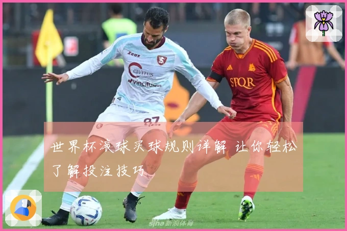 世界杯滚球买球规则详解 让你轻松了解投注技巧