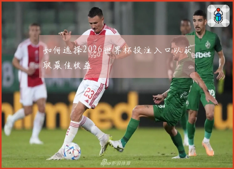 如何选择2026世界杯投注入口以获取最佳收益