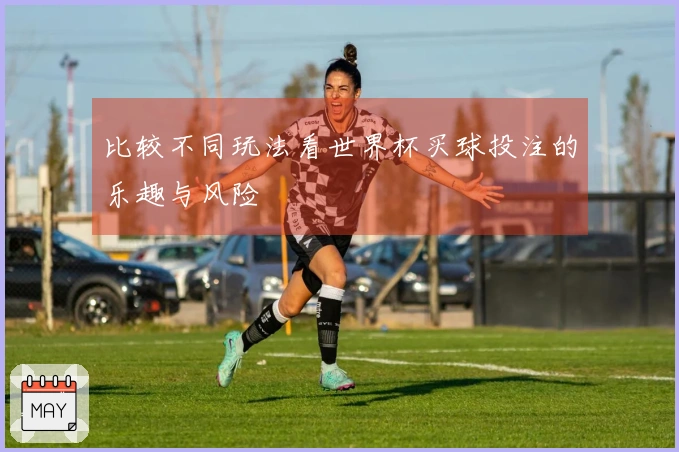 比较不同玩法看世界杯买球投注的乐趣与风险