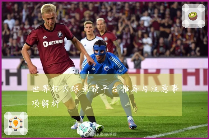世界杯买球竞猜平台推荐与注意事项解析