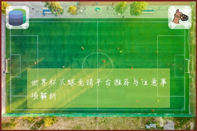 世界杯买球竞猜平台推荐与注意事项解析
