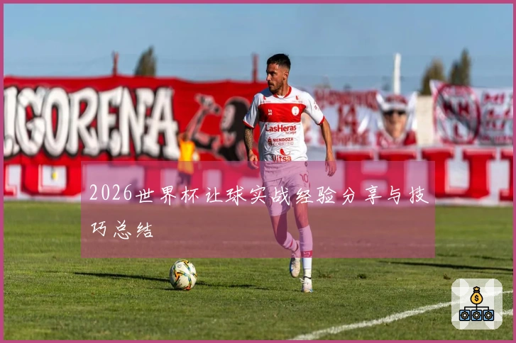 2026世界杯让球实战经验分享与技巧总结